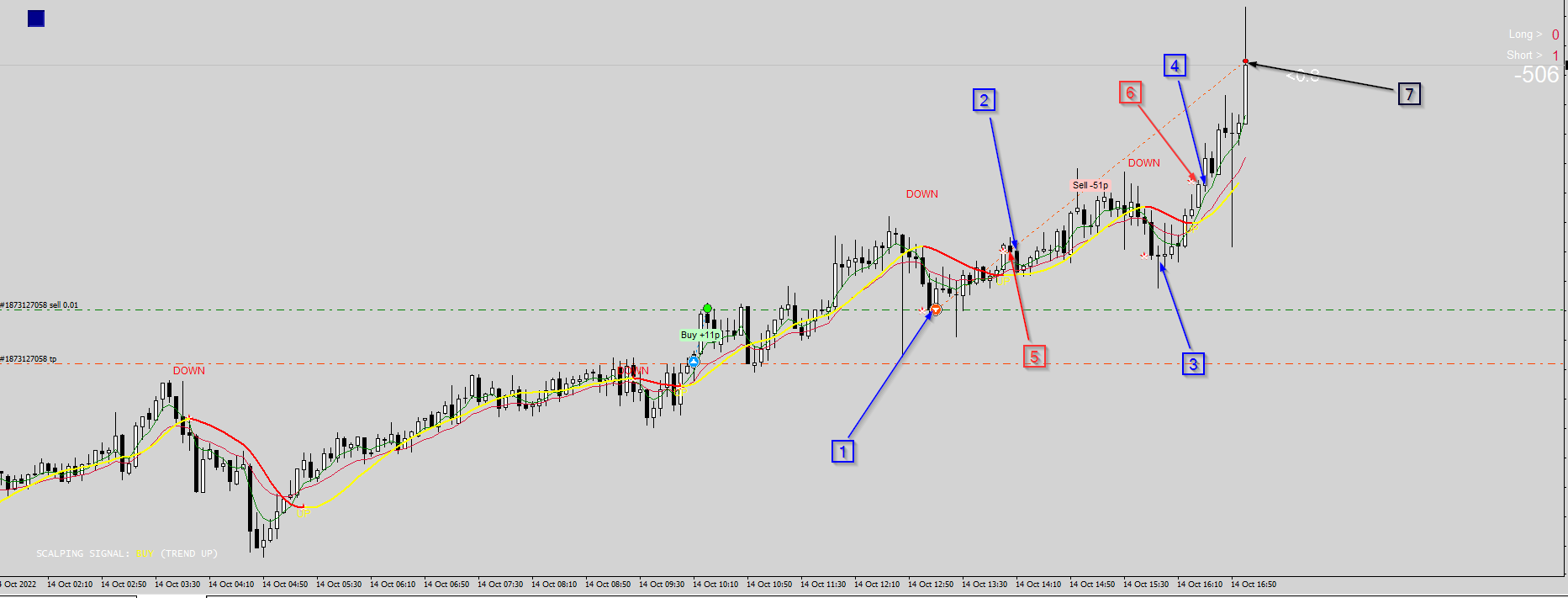 BMC 100Pips Image2.png